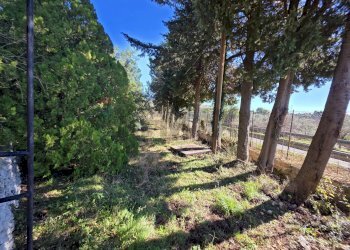 Giardino - Independent house C.da Giambra
 
snc, Cassaro - photo 45