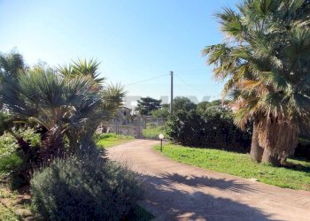 Giardino - Villa VIA MARECCHIA
 
3, Ragusa - foto 11