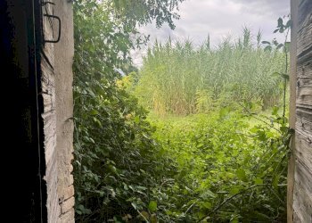 Foto 25 - Independent house Via Delle Querce, Pesaro - photo 25