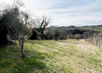 Foto 18 - Rustico Mondolfo - foto 18