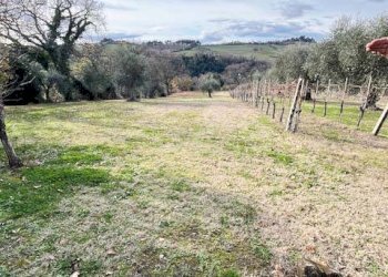 Foto 19 - Rustico Mondolfo - foto 19