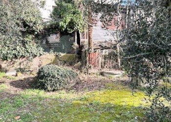 Foto 20 - Rustico Mondolfo - foto 20