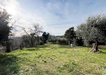 Foto 21 - Rustico Mondolfo - foto 21