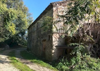 Terreno - Rustico via Coppa, 12, Polverigi - foto 11