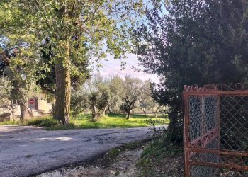 Terreno - Rustico via Coppa, 12, Polverigi - foto 13