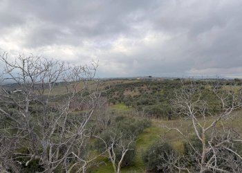 Foto 14 - Monolocale VIA NORA
 
110, Pianella - foto 14