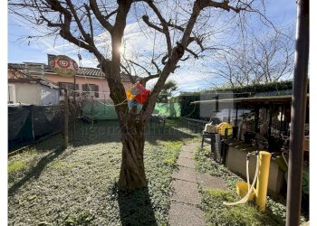 26.jpg - Porzione di casa Via Piave 112, Quinto Vicentino - foto 24