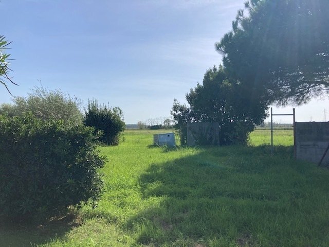 IMG_8733.jpg - Agricultural land Pisa - photo 2