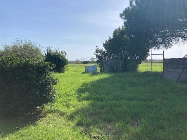 IMG_8734.jpg - Agricultural land Pisa - photo 3