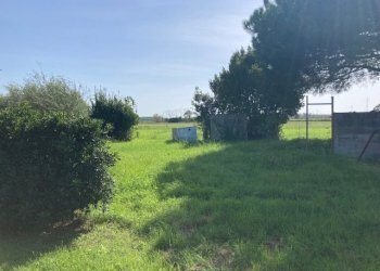 IMG_8734.jpg - Terreno agricolo Pisa - foto 3