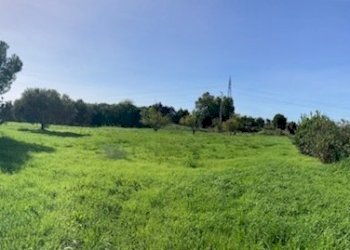 IMG_8736.jpg - Terreno agricolo Pisa - foto 4