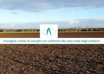 Terreno 3.jpg - Terreno edificabile all'asta Via Piane 65, Neirone - foto 3