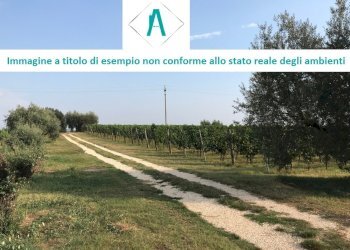 terreno 4.jpg - Terreno edificabile all'asta Via Piane 65, Neirone - foto 4