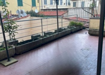 IMG_9837.jpeg - Quadrilocale Viareggio - foto 15