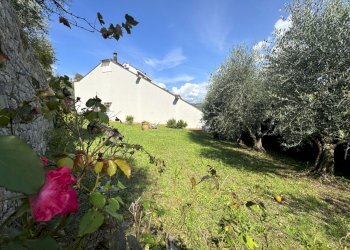 giardino - Villa Via dell'Apparita, Vaiano - foto 5