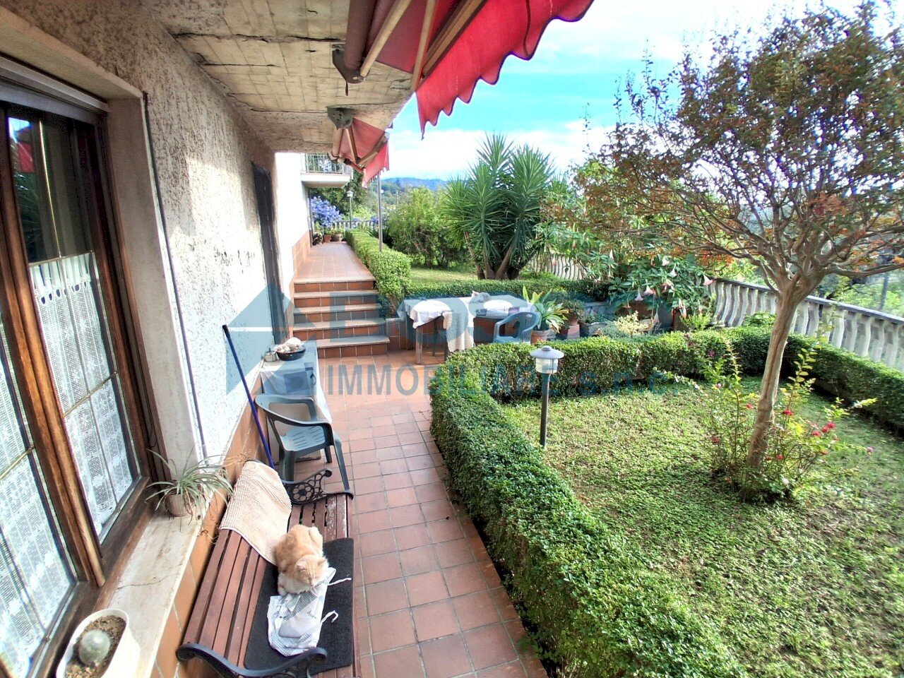 20251019_160225.jpg - Casa indipendente Via Elso Sommovigo, Arcola - foto 3