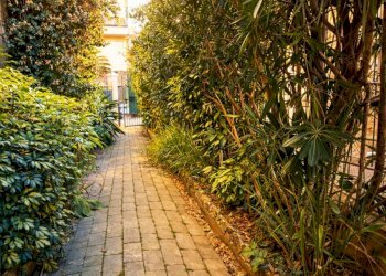 dd (3).png - Appartamento Chiavari - foto 3