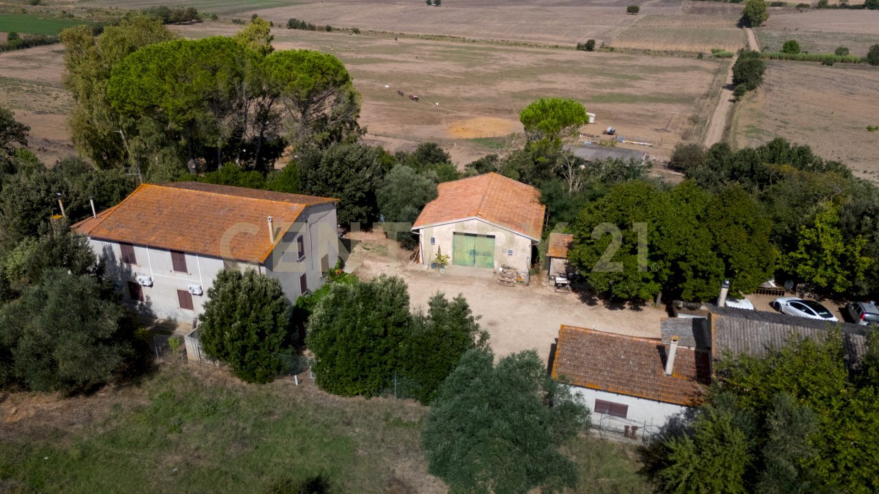VISTA PANORAMICA - Casale LOCALITA PINZUTI, Manciano - foto 3