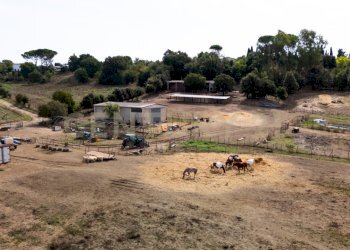 DJI_20250908112800_0843_D.jpg - Casale LOCALITA PINZUTI, Manciano - foto 11