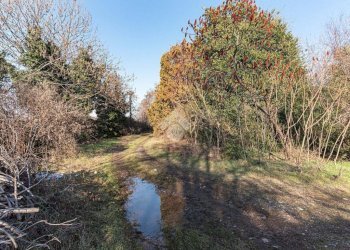 Casa indipendente Via Nicola Grosa, Ciriè - foto 6