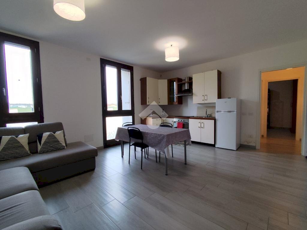 Two-room apartment Viale Montegrappa, Novellara - photo 1