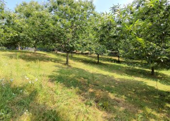 Casa indipendente borgata colletta, 15, Paesana - foto 20
