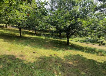 Casa indipendente borgata colletta, 15, Paesana - foto 23