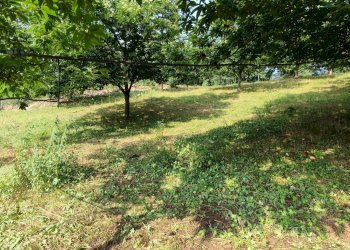 Casa indipendente borgata colletta, 15, Paesana - foto 10