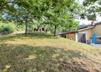 Casa indipendente borgata colletta, 15, Paesana - foto 9