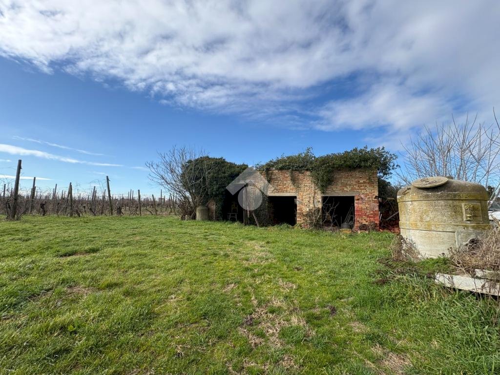 Agricultural land Via Basilica, Ravenna (neighborhood Sant'Alberto) - photo 1