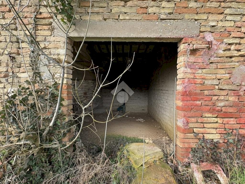 Agricultural land Via Basilica, Ravenna (neighborhood Sant'Alberto) - photo 2
