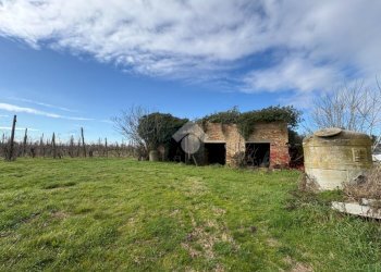 Agricultural land Via Basilica, Ravenna (neighborhood Sant'Alberto) - photo 1