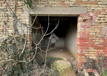 Agricultural land Via Basilica, Ravenna (neighborhood Sant'Alberto) - photo 2