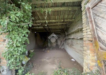 Agricultural land Via Basilica, Ravenna (neighborhood Sant'Alberto) - photo 4