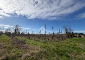 Agricultural land Via Basilica, Ravenna (neighborhood Sant'Alberto) - photo 6