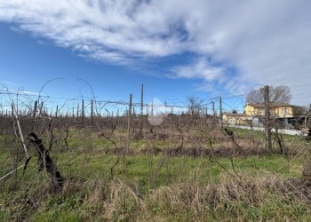 Agricultural land Via Basilica, Ravenna (neighborhood Sant'Alberto) - photo 8