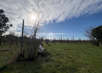 Agricultural land Via Basilica, Ravenna (neighborhood Sant'Alberto) - photo 9
