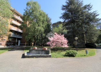 Mansarda Via Madonna Pellegrina, Bareggio - foto 1