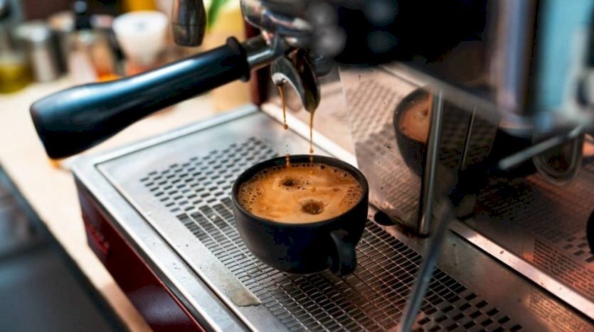 Bar Tavola Calda - Fredda Bologna - foto 1