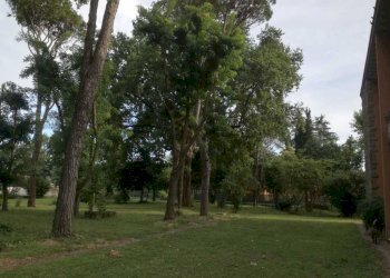 Casa indipendente Ravenna - foto 1