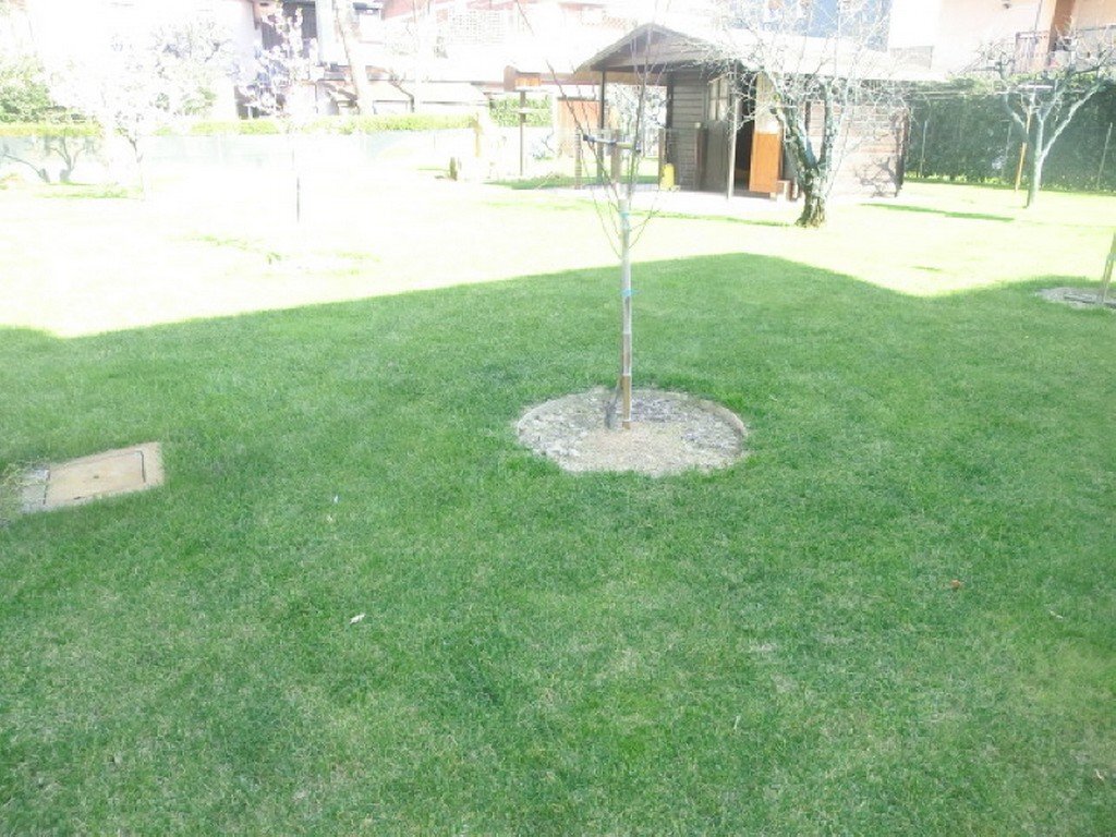 Casa indipendente Ravenna - foto 1