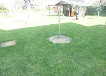 Casa indipendente Ravenna - foto 1