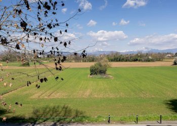 Foto 22 - Trilocale Via Pellizzari
 
28, Vimercate - foto 22