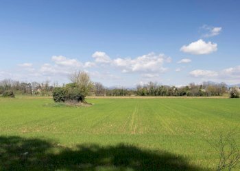 Foto 48 - Trilocale Via Pellizzari
 
28, Vimercate - foto 48