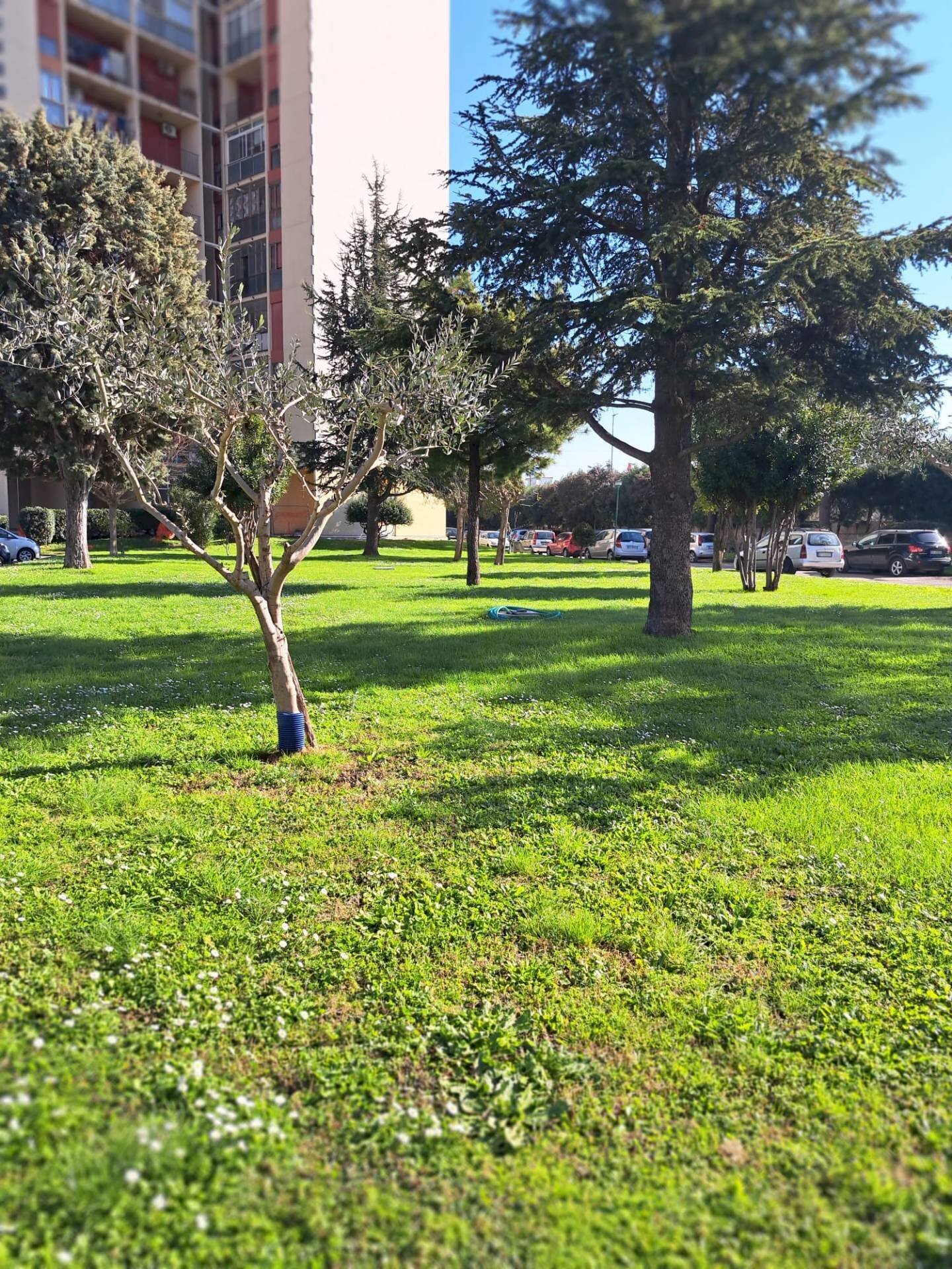 Foto 2 - Four-room apartment 25, Marigliano - photo 2