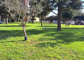 Foto 2 - Appartamento 25, Marigliano - foto 2