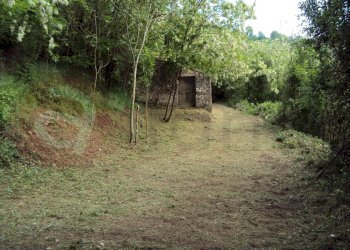 Foto 5 - Rustico Via San Rocco esterno, Sant'Ambrogio sul Garigliano - foto 5