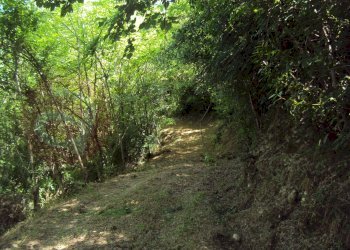 Foto 6 - Rustico Via San Rocco esterno, Sant'Ambrogio sul Garigliano - foto 6