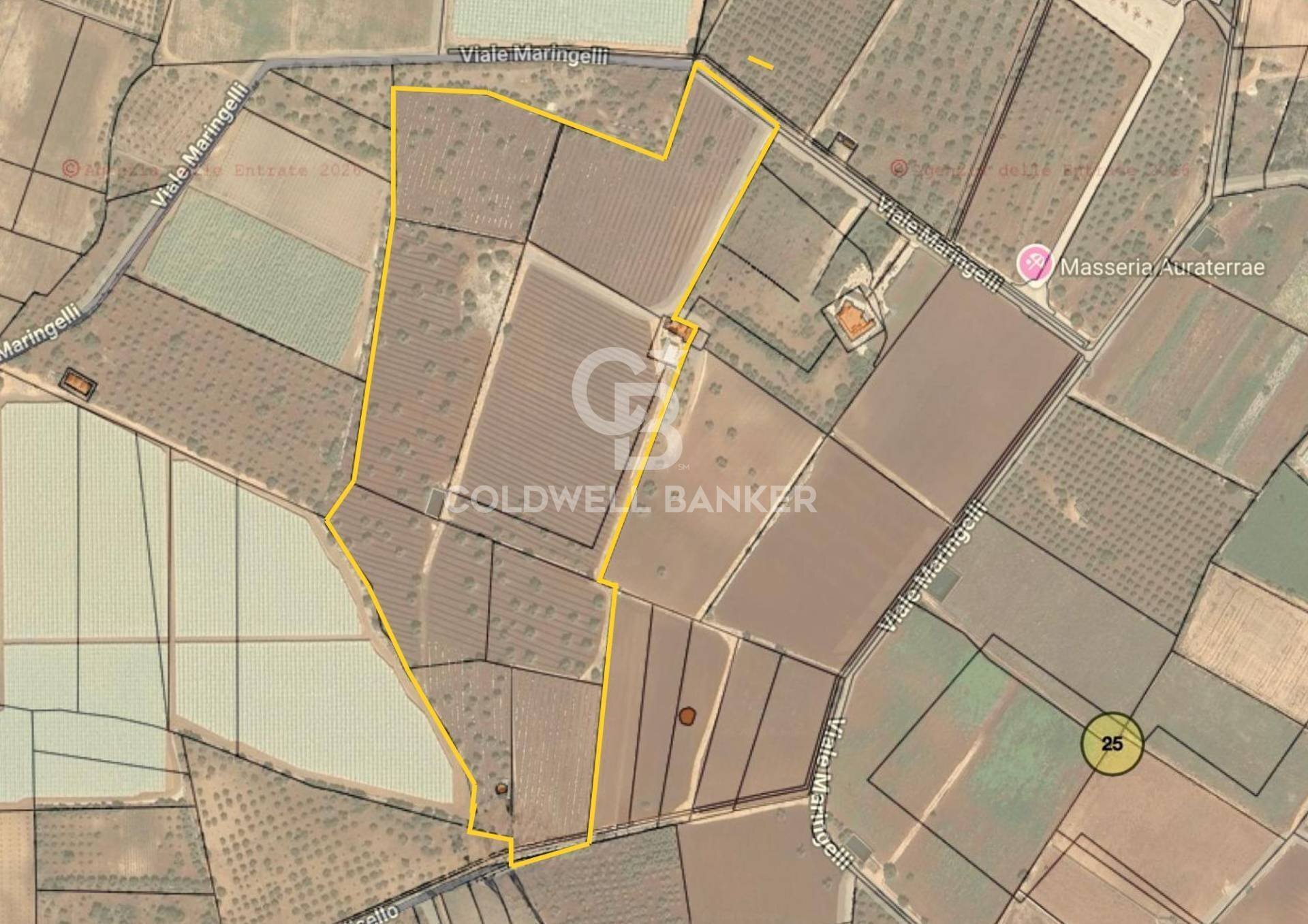 Foto 1 - Terreno agricolo Contrada Monte Polisetta
 
Sn, Polignano a Mare - foto 1