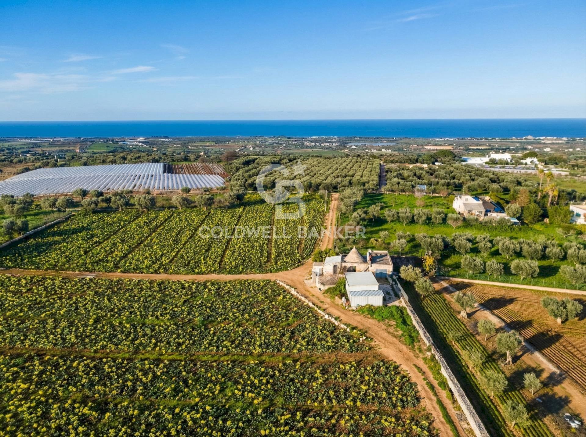 Foto 1 - Terreno agricolo Contrada Monte Polisetta
 
Sn, Polignano a Mare - foto 1